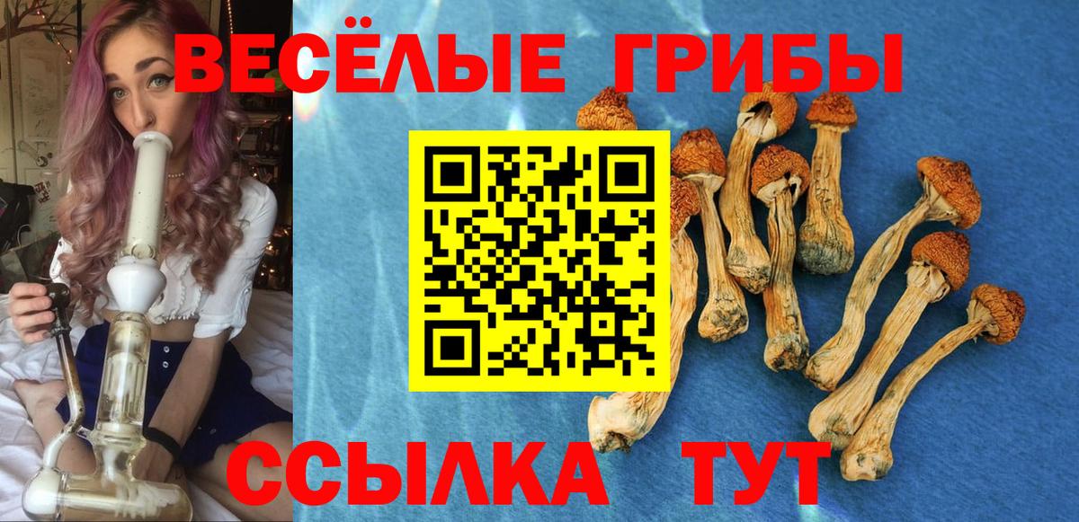 Галлюциногенные грибы GOLDEN TEACHER  Вход с VPN  купить закладку  Псилоцибиновые грибы Psilocybe  Протвино 