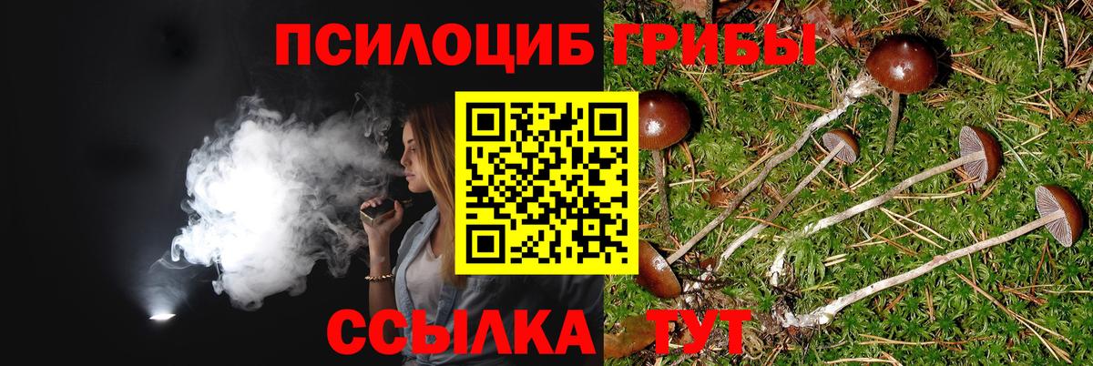 Галлюциногенные грибы ЛСД Протвино